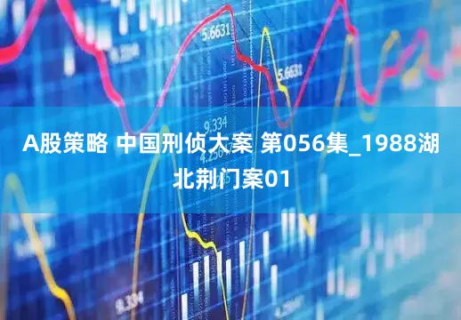 A股策略 中国刑侦大案 第056集_1988湖北荆门案01