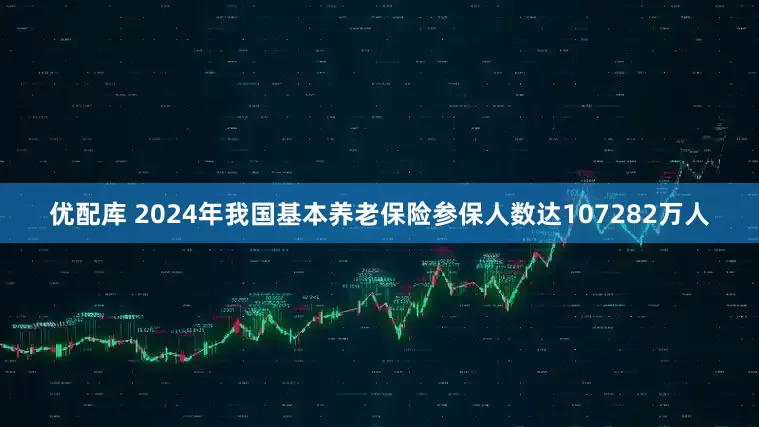 优配库 2024年我国基本养老保险参保人数达107282万人
