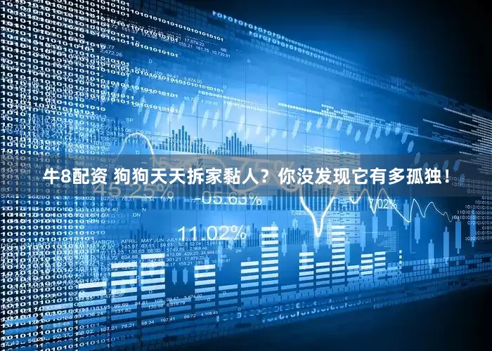 牛8配资 狗狗天天拆家黏人？你没发现它有多孤独！