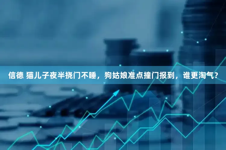 信德 猫儿子夜半挠门不睡，狗姑娘准点撞门报到，谁更淘气？