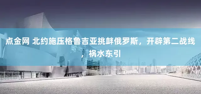 点金网 北约施压格鲁吉亚挑衅俄罗斯，开辟第二战线，祸水东引