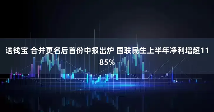 送钱宝 合并更名后首份中报出炉 国联民生上半年净利增超1185%